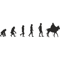 Эволюция от обезьяны до игрока Поло 1