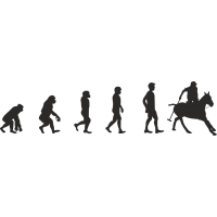 Эволюция от обезьяны до игрока Поло 2