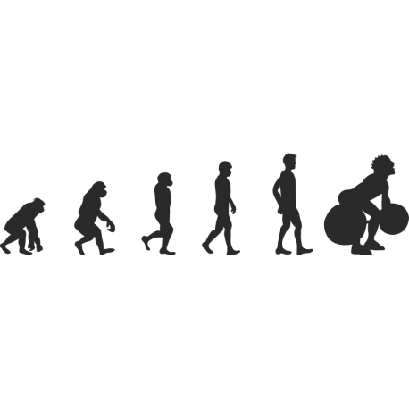 Эволюция от обезьяны до Штангиста 1