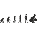 Эволюция от обезьяны до Штангиста 1