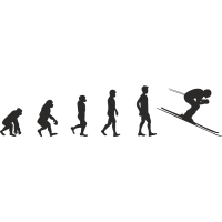 Эволюция от обезьяны до Лыжника 3