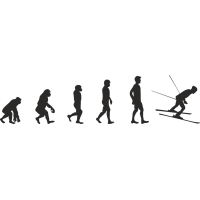 Эволюция от обезьяны до Лыжника 4