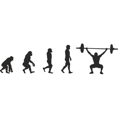 Эволюция от обезьяны до Штангиста 2