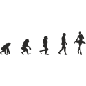 Эволюция от обезьяны до Балерины 8