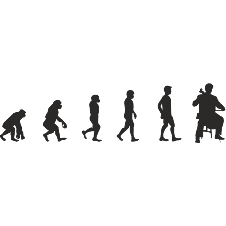 Эволюция от обезьяны до Виолончелиста