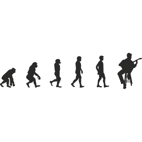 Эволюция от обезьяны до Гитариста