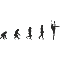 Эволюция от обезьяны до Балерины 10
