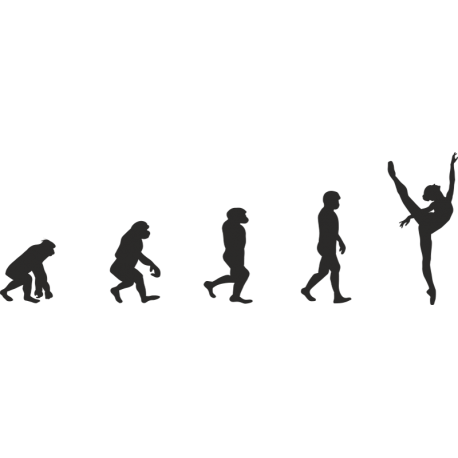 Эволюция от обезьяны до Балерины 11