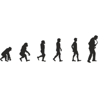 Эволюция от обезьяны до Саксофониста 2