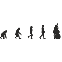Эволюция от обезьяны до Виолончелистки