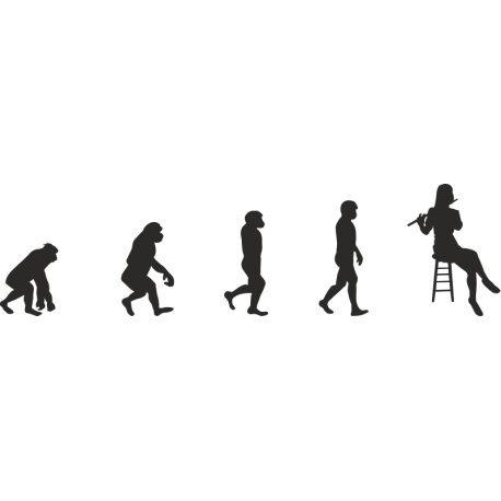 Эволюция от обезьяны до Флейтистки