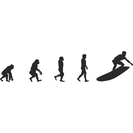 Эволюция от обезьяны до Серфера 1