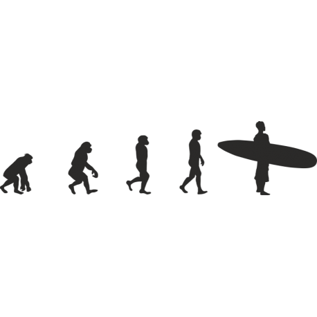 Эволюция от обезьяны до Серфера 2