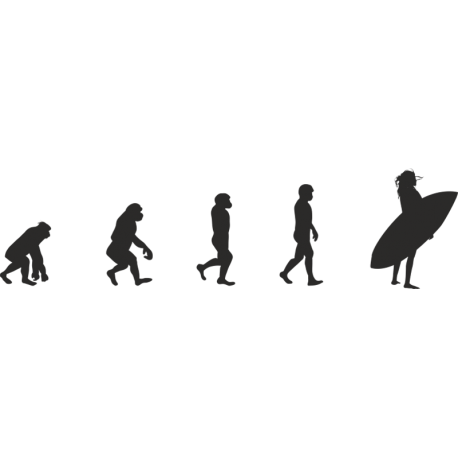 Эволюция от обезьяны до Серфингистки 1