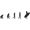 Эволюция от обезьяны до Серфингистки 1