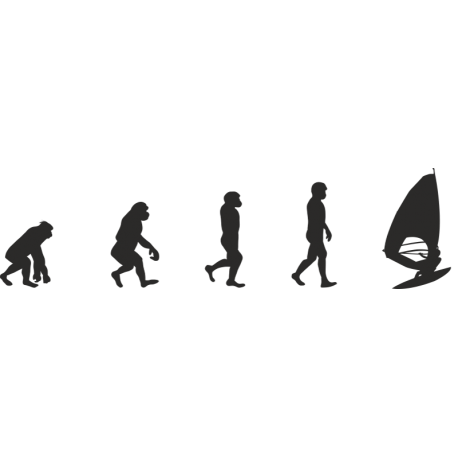 Эволюция от обезьяны до Виндсерфера 1
