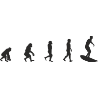 Эволюция от обезьяны до Серфера 3