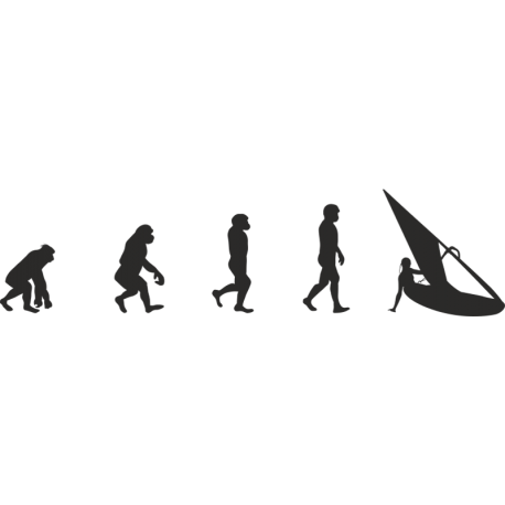 Эволюция от обезьяны до Виндсерфера 3