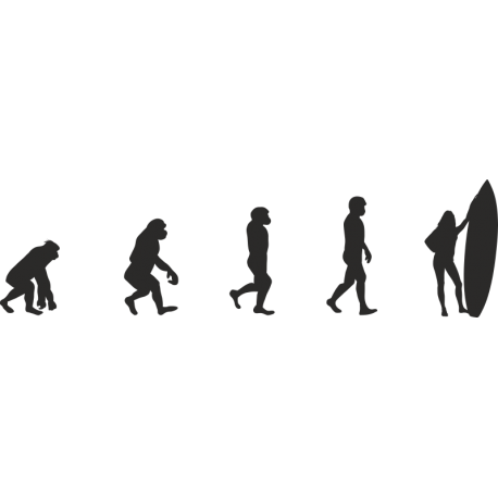 Эволюция от обезьяны до Серфингистки 3