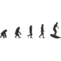 Эволюция от обезьяны до Серфера 4