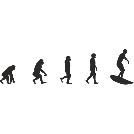 Эволюция от обезьяны до Серфера 4