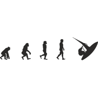 Эволюция от обезьяны до Виндсерфера 4