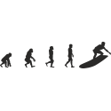 Эволюция от обезьяны до Серфера 5