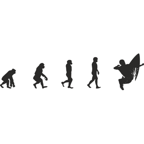 Эволюция от обезьяны до Серфера 6
