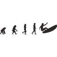Эволюция от обезьяны до Серфера 7