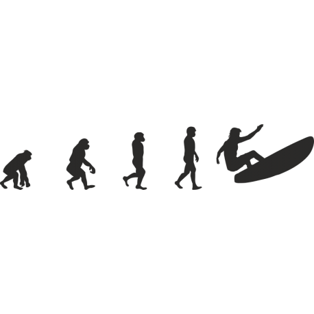Эволюция от обезьяны до Серфера 7