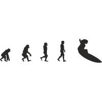 Эволюция от обезьяны до Серфингистки 5
