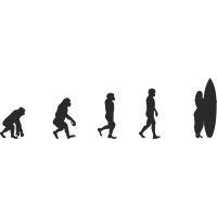 Эволюция от обезьяны до Серфингистки 6