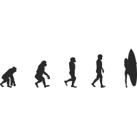 Эволюция от обезьяны до Серфингистки 7