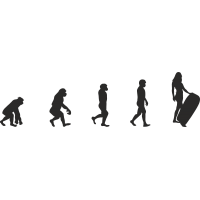 Эволюция от обезьяны до Серфингистки 8