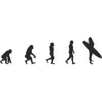 Эволюция от обезьяны до Серфингистки 10