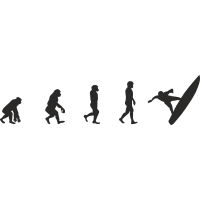 Эволюция от обезьяны до Серфера 8