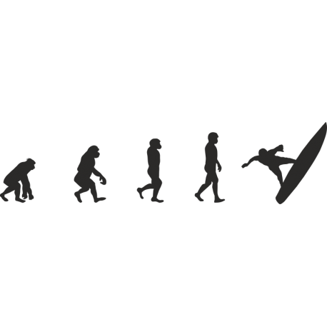 Эволюция от обезьяны до Серфера 8
