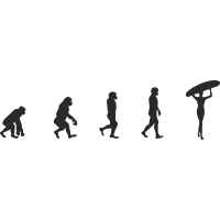 Эволюция от обезьяны до Серфингистки 11