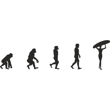Эволюция от обезьяны до Серфингистки 11