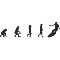 Эволюция от обезьяны до Серфера 9