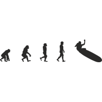Эволюция от обезьяны до Серфера 10
