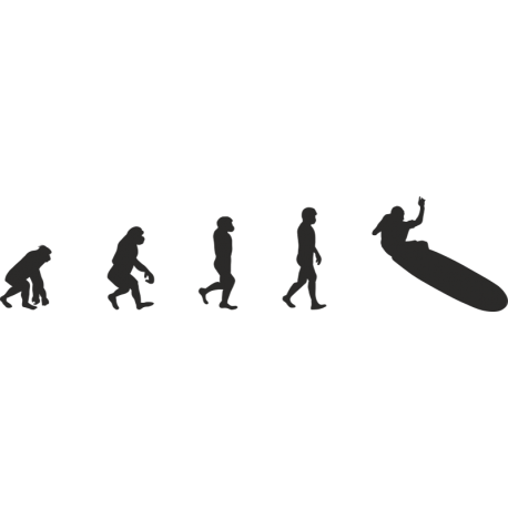 Эволюция от обезьяны до Серфера 10