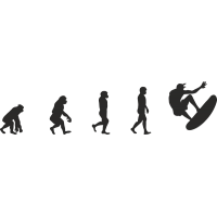 Эволюция от обезьяны до Серфера 11