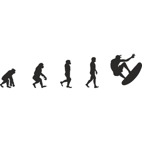 Эволюция от обезьяны до Серфера 11