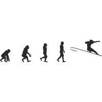 Эволюция от обезьяны до Серфера 12