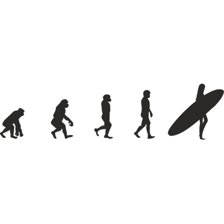Эволюция от обезьяны до Серфингистки 12